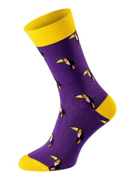 Носки Chili Lifestyle Banderole Tucan, желтый/фиолетовый