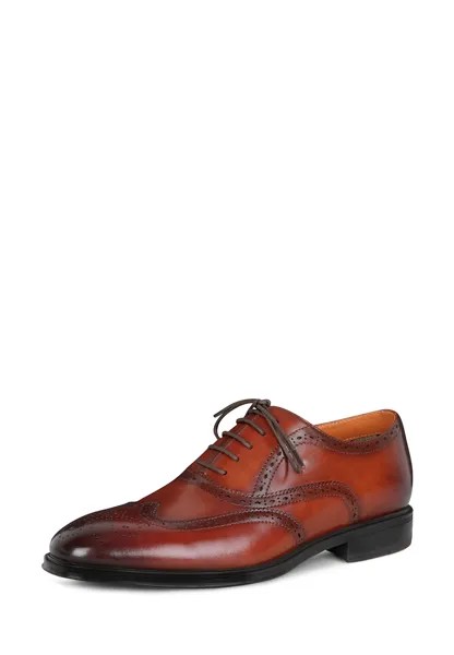 Туфли мужские Pierre Cardin 136601 коричневые 44 RU