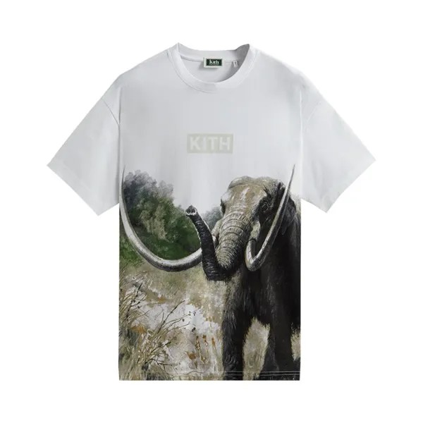 Футболка Kith For AMNH Late Mammals Vintage Tee 'White', белый