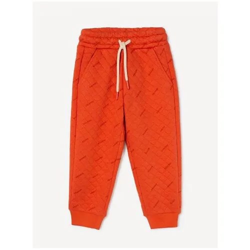 Оранжевые спортивные брюки Jogger с надписями для мальчика Gloria Jeans, размер 6-7л/122