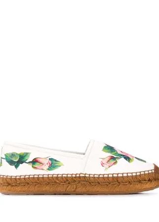 Dolce & Gabbana эспадрильи с принтом Tropical Rose