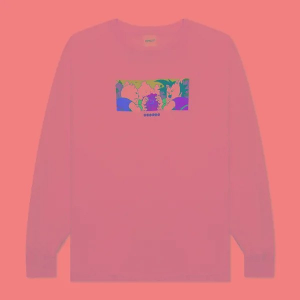 Мужской лонгслив Ripndip