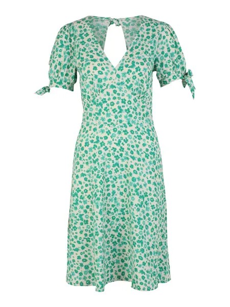 Платье Dorothy Perkins, бежевый/зеленый/нефритовый