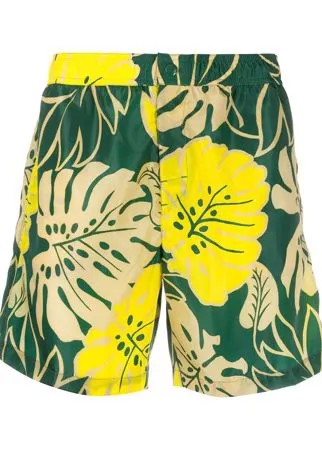 Moncler плавки-шорты с цветочным принтом