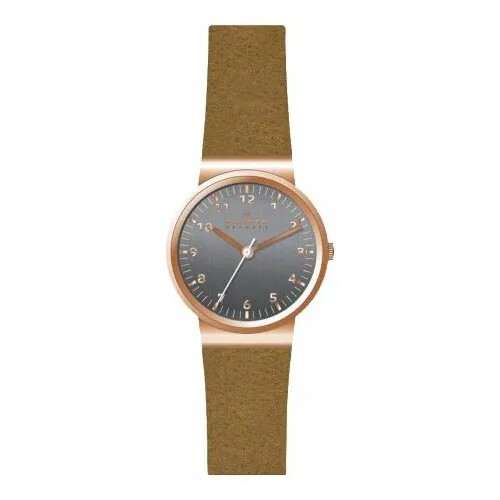 Наручные часы SKAGEN