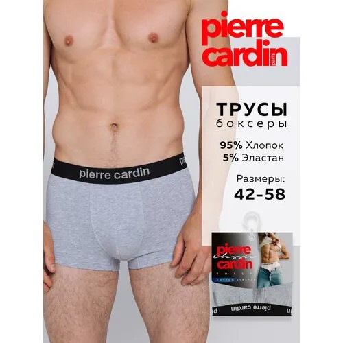 Трусы Pierre Cardin, размер 4(46/48), серый