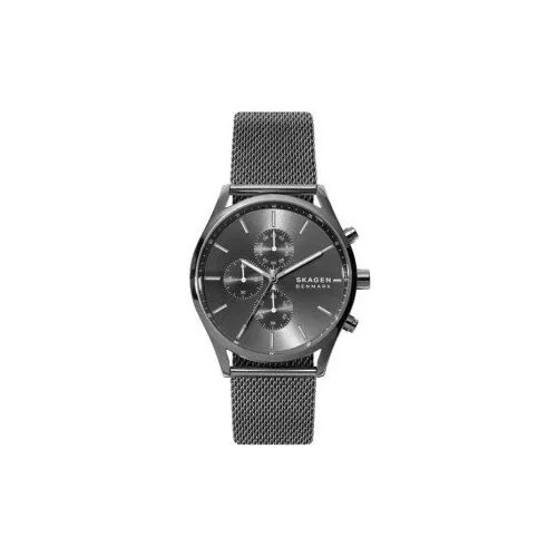 Наручные часы SKAGEN SKW6608, серебряный, серый