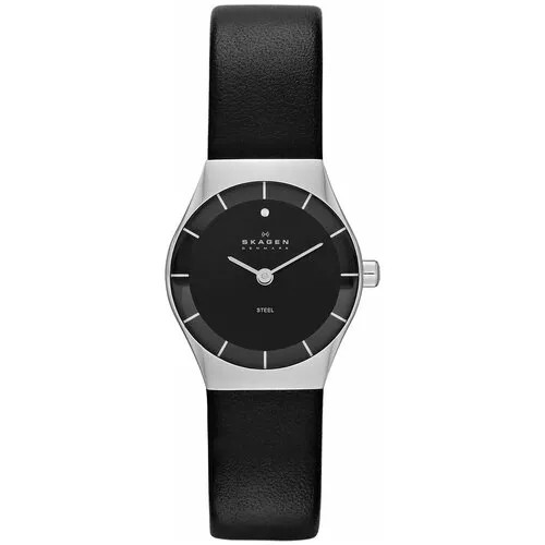 Наручные часы Skagen SKW2048