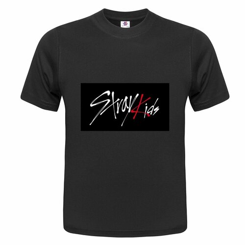 Футболка ONEQ унисекс 46-48 (M) размер с принтом Логотип Stray Kids, черная, размер M, черный