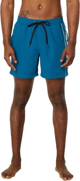 Шорты для плавания Quiksilver Everyday Vert 16