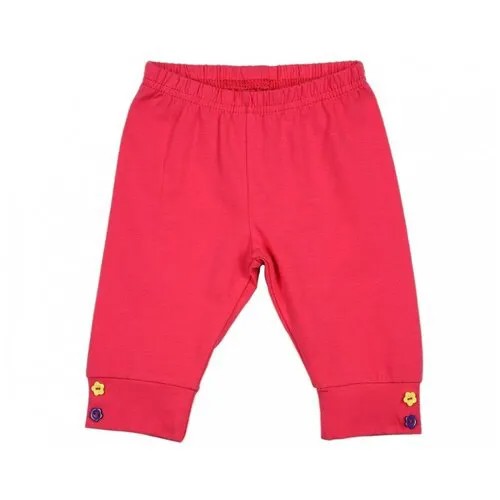 Бриджи Mini Maxi, 0726, цвет малиновый, размер 98