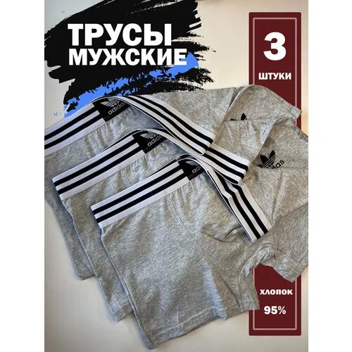 Трусы , 3 шт., размер L, серый