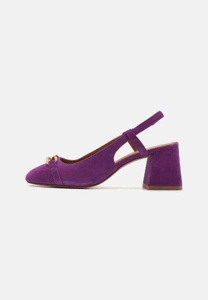 Туфли CORONILLA Geox, цвет purple