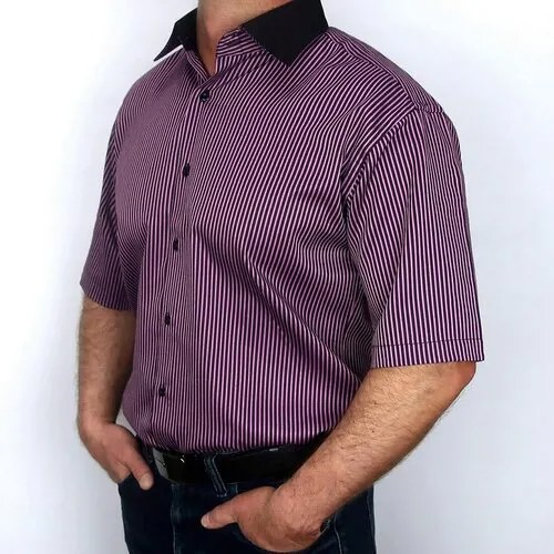 Рубашка Basler, размер 39, фиолетовый
