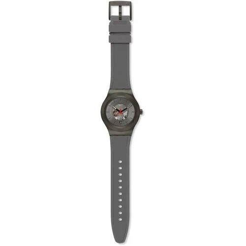 Наручные часы swatch Наручные часы SWATCH REDRANG YIM404