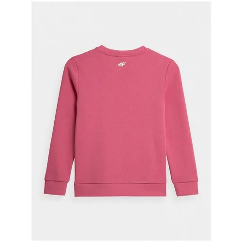 Лонгслив 4F GIRL'S LONGSLEEVES Дети HJZ21-JTSDL002-54S 146