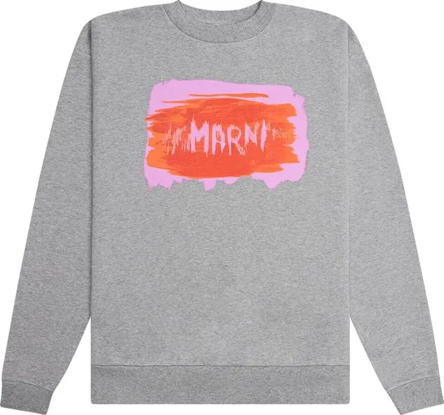 Толстовка Marni Logo Sweatshirt 'Inox', серый