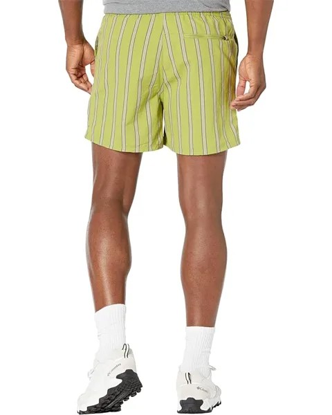 Шорты Marmot Juniper Springs Shorts, цвет Spinach Green Stripe
