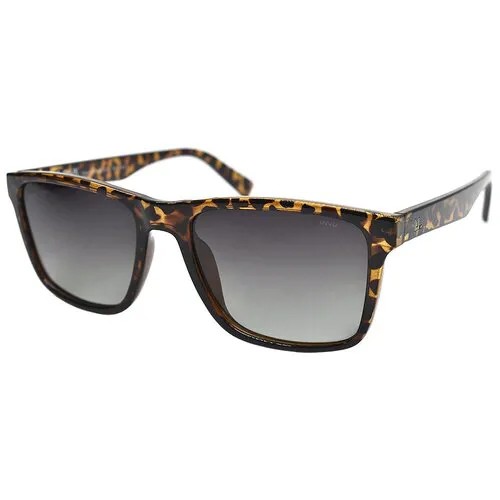 Солнцезащитные очки Invu B2131, коричневый, черный