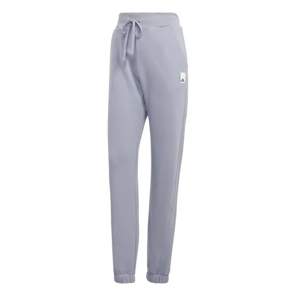 Спортивные штаны lng pt Adidas Sportswear, фиолетовый