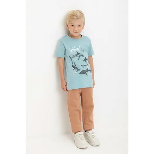 Брюки спортивные crockid, размер 76/146, коричневый