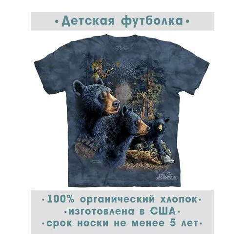 Футболка The Mountain, размер S-Y, серый