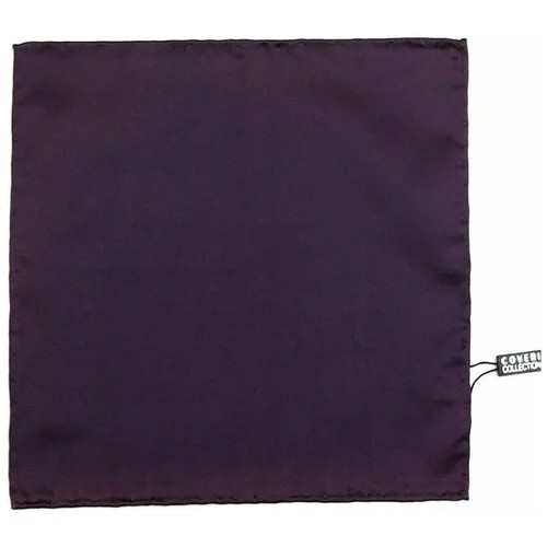 Однотонный карманный платок Coveri Collection 818477