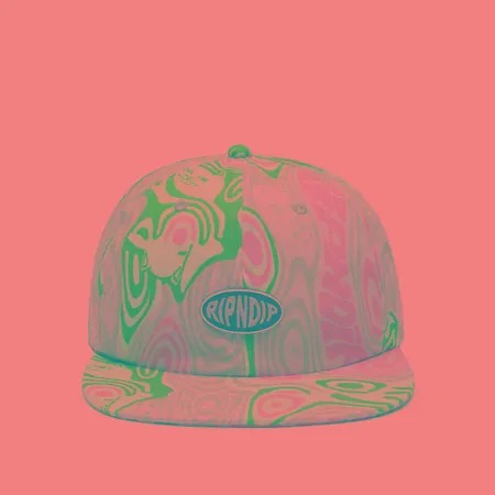 Кепка RIPNDIP Hypnotic 6 Panel, цвет серый