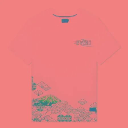 Мужская футболка Evisu Heritage Dragon & Mountain Fuji Printed, цвет белый, размер XXL