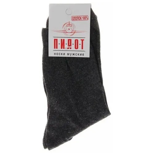 Мужские носки RusExpress, 1 пара, классические, размер 29, серый