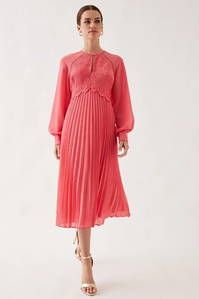 Плиссированное платье мидакси с кружевными вставками Petite Wallis, розовый