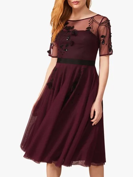 Phase Eight Collection 8 Платье Felicia с цветочным принтом, ягодный