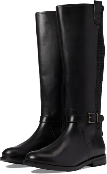 Сапоги Clive Stretch Boot Cole Haan, черная кожа