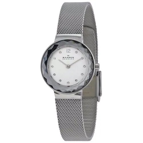 Наручные часы Skagen 456SSS