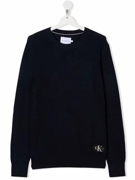 Calvin Klein Kids джемпер с нашивкой-логотипом