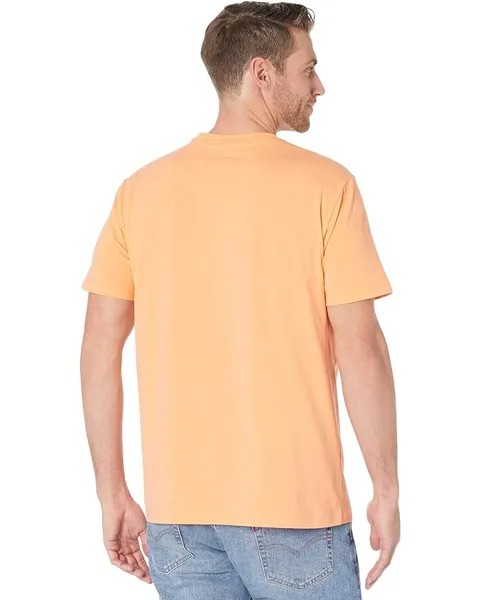 Рубашка U.S. POLO ASSN. Short Sleeve Stretch V-Neck Tee Shirt, цвет Cantaloupe