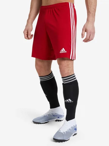 Шорты мужские adidas Squadra 21, Белый