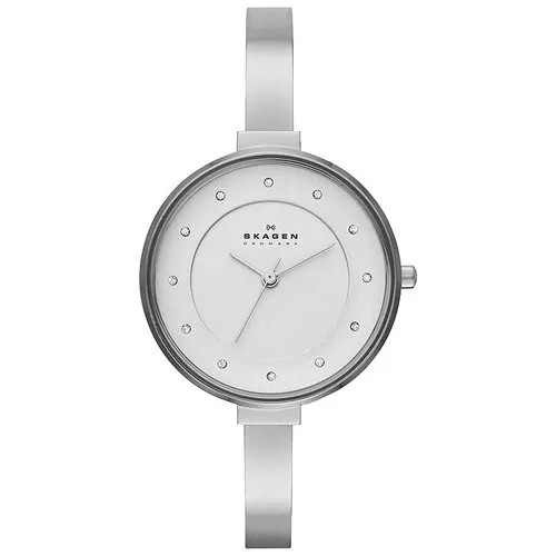 Наручные часы Skagen SKW2228