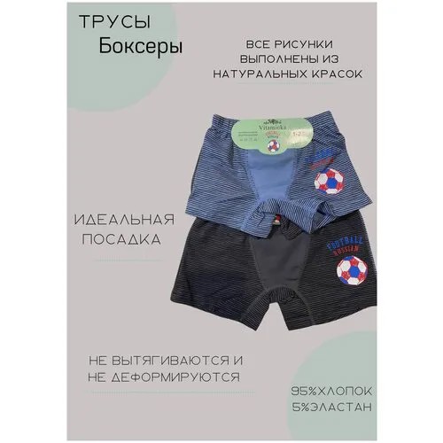 Трусы  Витаминка, 2 шт., размер 3-4 года, серый, синий