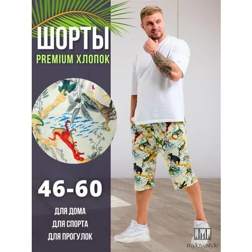 Шорты mylovestyle, размер 46, мультиколор
