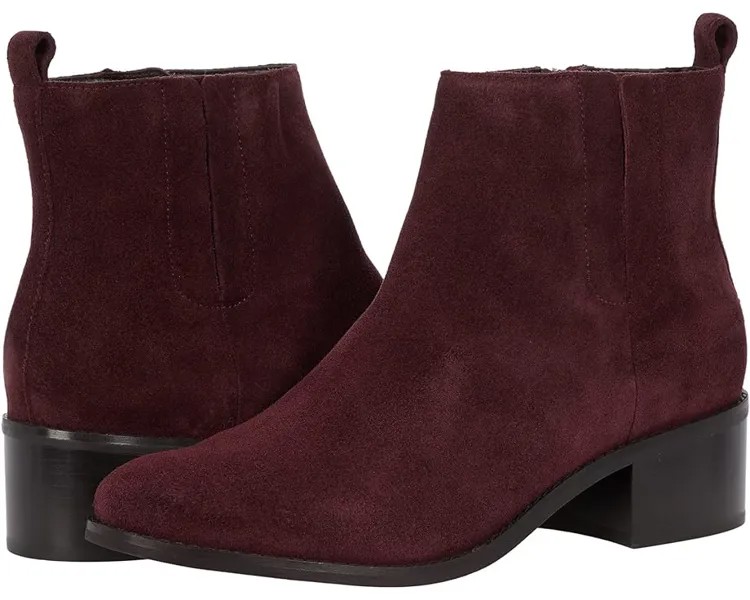 Ботинки Cole Haan Addie Bootie, цвет Black Garnet Suede