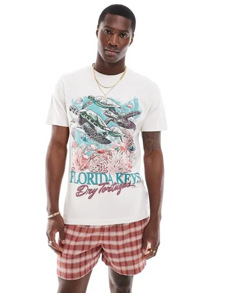 Бежевая футболка свободного кроя с принтом Abercrombie & Fitch Florida Keys