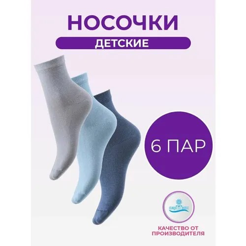 Носки САРТЭКС Базовая коллекция, 6 пар, размер 22/24, , синий, голубой, серый