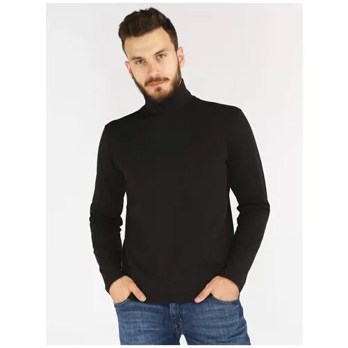 Водолазка мужская A passion play 212TR(XT-0053)-0201 черная, размер L
