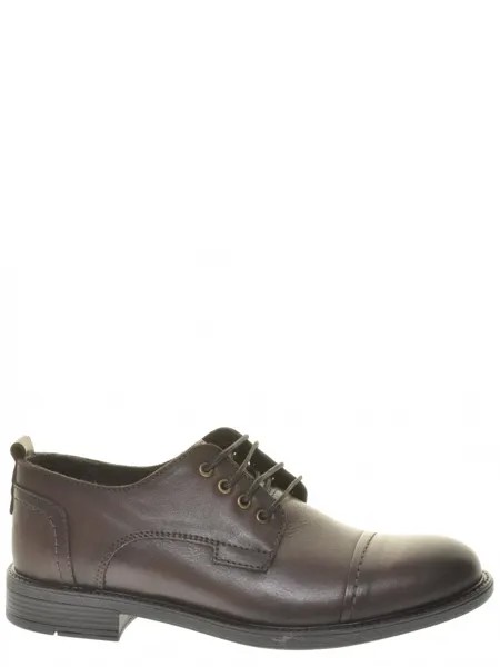Туфли TOFA мужские демисезонные, размер 43, цвет коричневый, артикул 129472-5