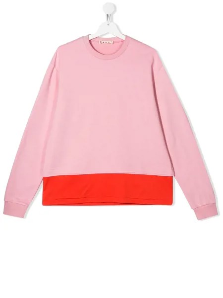Marni Kids толстовка с контрастным подолом