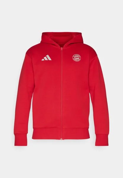 Свитер на молнии Fc Bayern München Anthem Jacket adidas Performance, ярко-красный