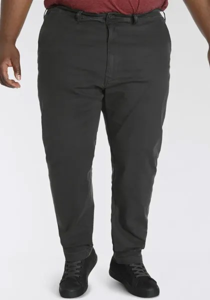 Брюки-чиносы Levi's Plus 