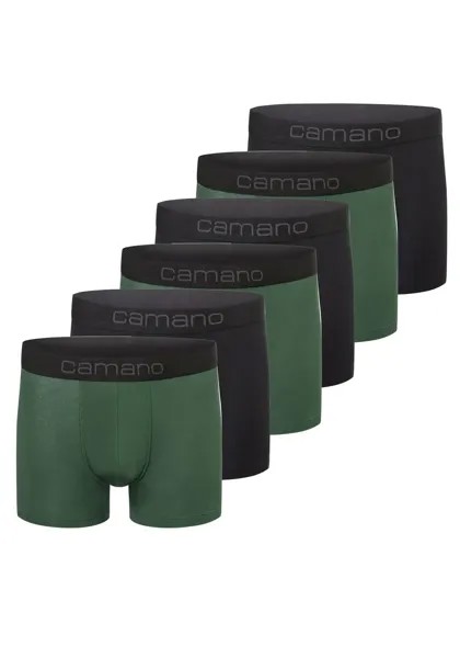 Camano боксеры 