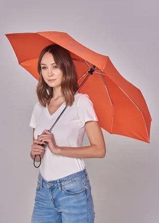 Зонт малый